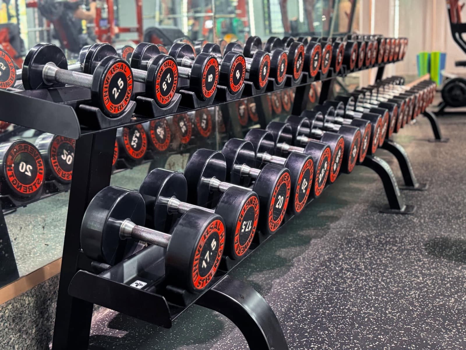 Hai hàng tạ tay Universal Strength xếp trên giá trước gương