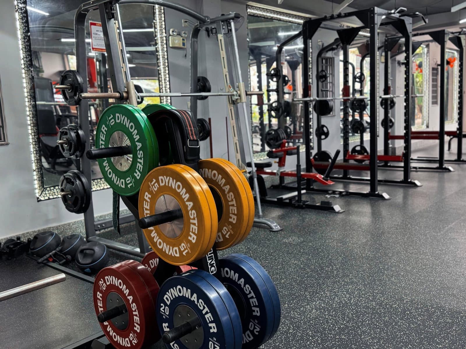 Tạ bumper Dynomaster trên giá, máy Smith và giàn rack dọc theo gương